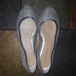Antonio Melani Ballet Flats